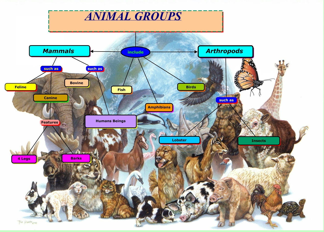 Animal Groups